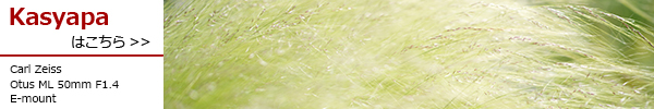 Otus ML 50mm F1.4