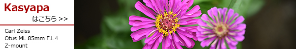 Otus ML 85mm F1.4 Z-mount