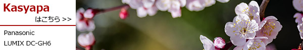 LUMIX DC-GH6
