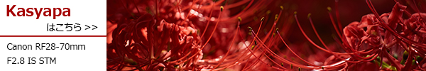 RF28-70mm F2.8 IS STM