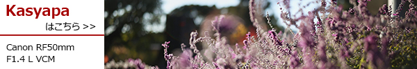 RF50mm F1.4 L VCM