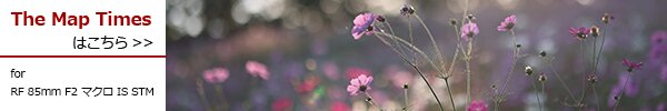 PhotoPreview