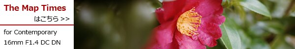 PhotoPreview