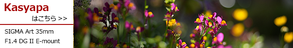 SIGMA Art 35mm F1.4 DG II E-mount