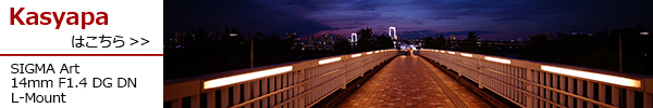 A 14mm F1.4 DG DN