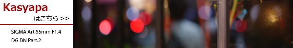 SIGMA (シグマ) Art 85mm F1.4 DG DN（ライカSL/TL用）