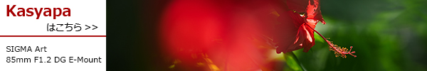 Art 85mm F1.2 DG