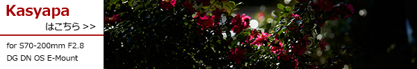 Sports 70-200mm F2.8 DG DN OS