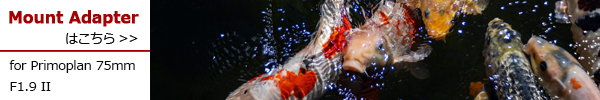 PhotoPreview
