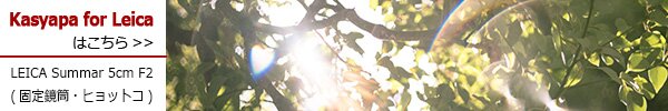 Leica (ライカ) ズマール L50mm F2 ヒョットコ