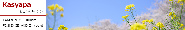 35-100mm F2.8 Di III VXD