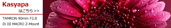 90mm F2.8 Di III MACRO/Model F072Z