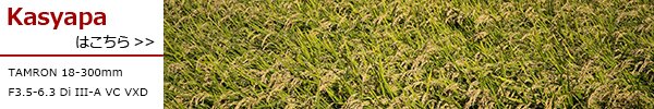 TAMRON18-300mm F3.5-6.3 Di III-A VC VXD_item