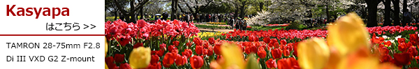 TAMRON 28-75mm F2.8 Di III VXD G2