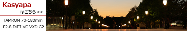70-180mm F2.8 DiIII VC VXD G2