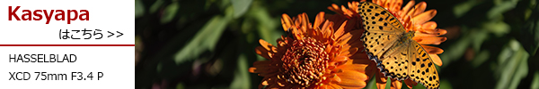 XCD 75mm F3.4 P