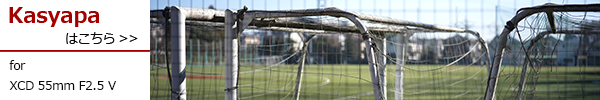 XCD 55mm F2.5 V