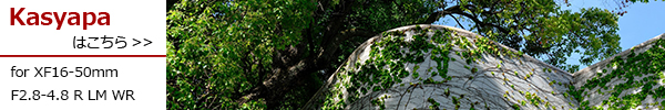 FUJIFILM XF16-50mmF2.8-4.8 R LM WR