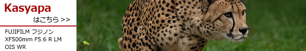 フジノン XF500mm F5.6 R LM OIS WR