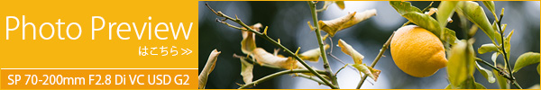 TAMRON SP 70-200mm F2.8 Di VC USD G2フォトプレビューはコチラ