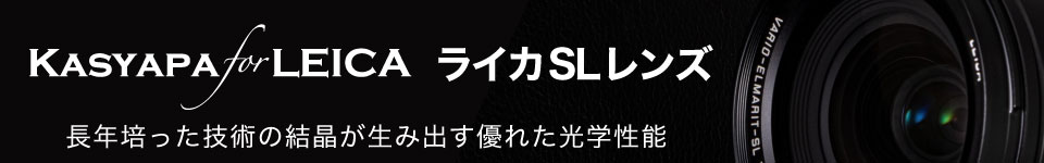 Leica SL Lens