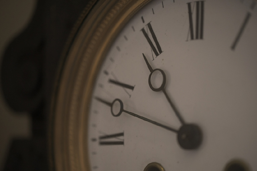 FUJIFILM XF 60mm F2.4 R Macro