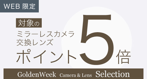 中古ミラーレスポイント5倍
