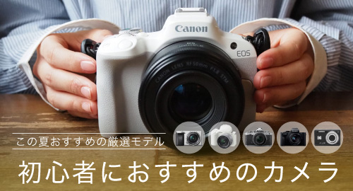初心者