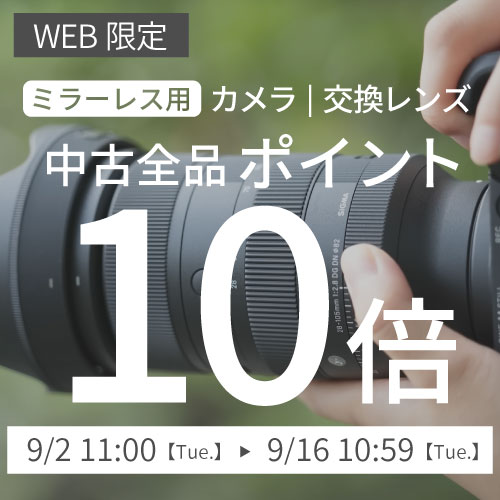 ポイント１０倍