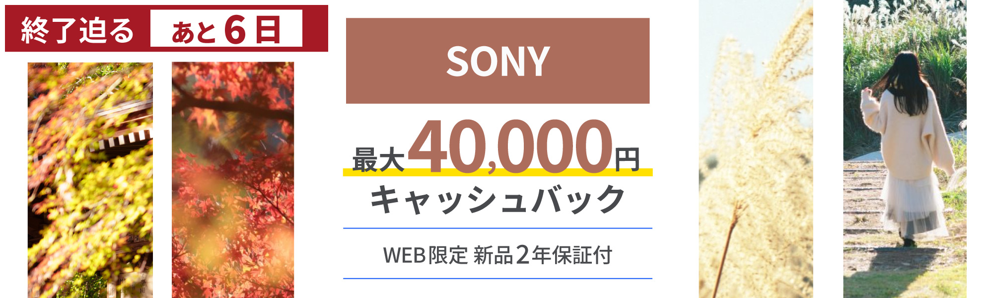 SONYキャッシュバック