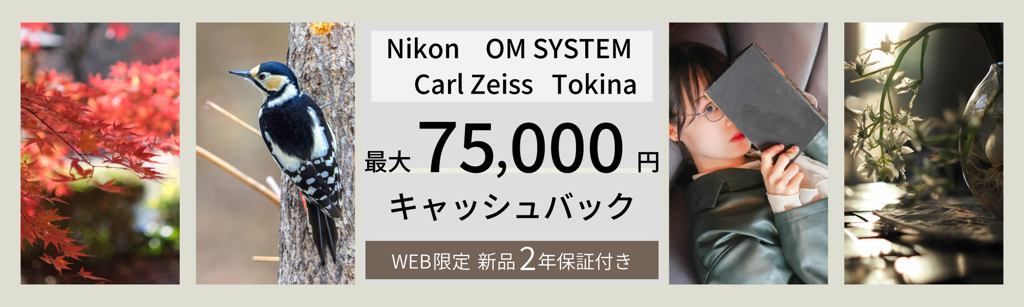 ALLキャッシュバックキャンペーン