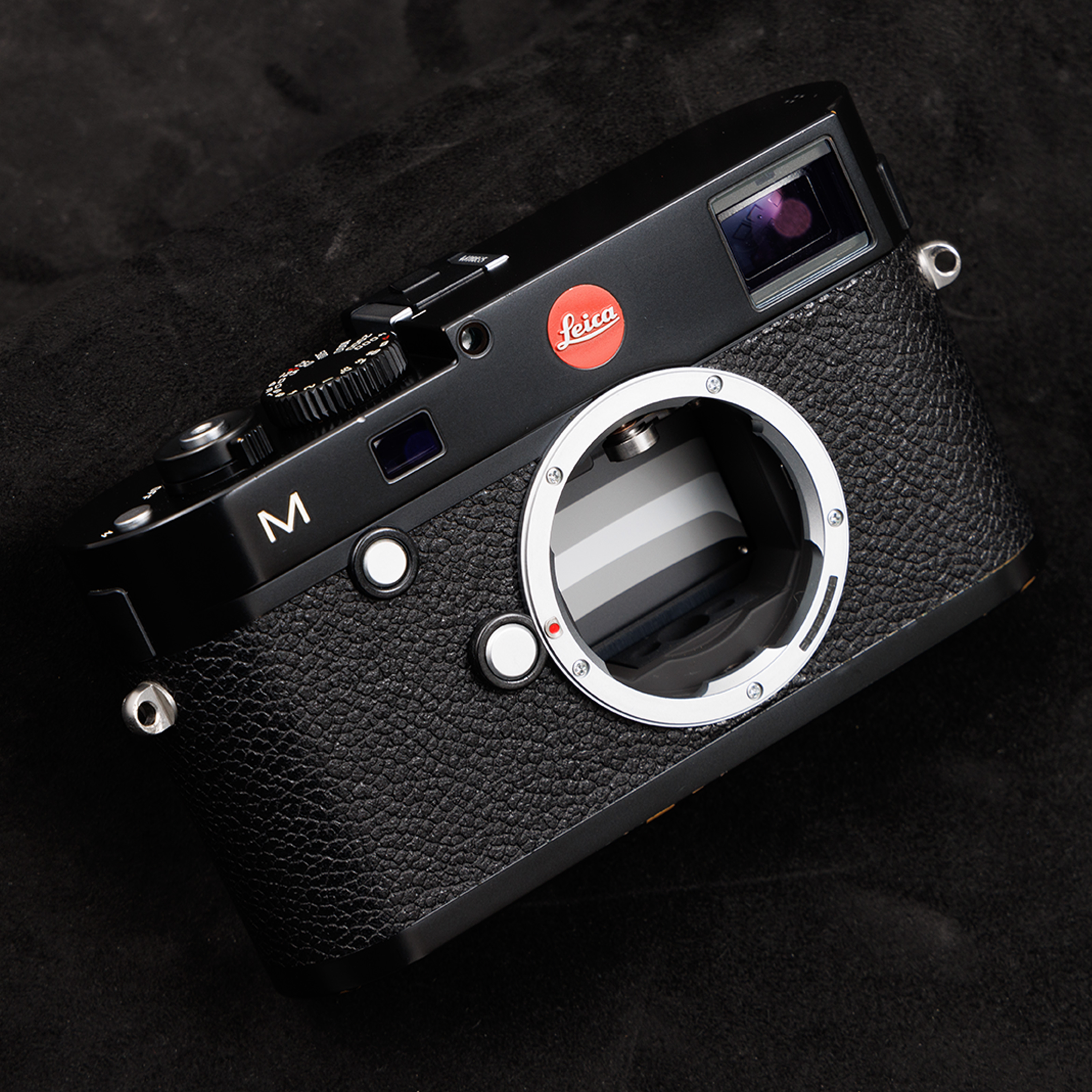 M (Typ240)