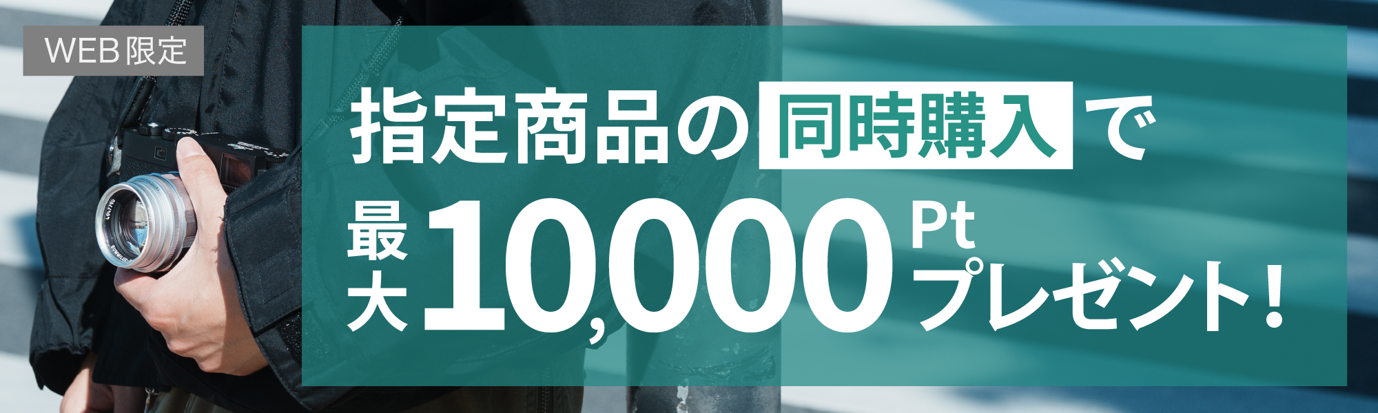 ポイントプレゼント