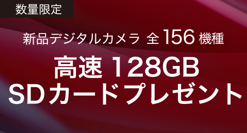 sdカードプレゼント