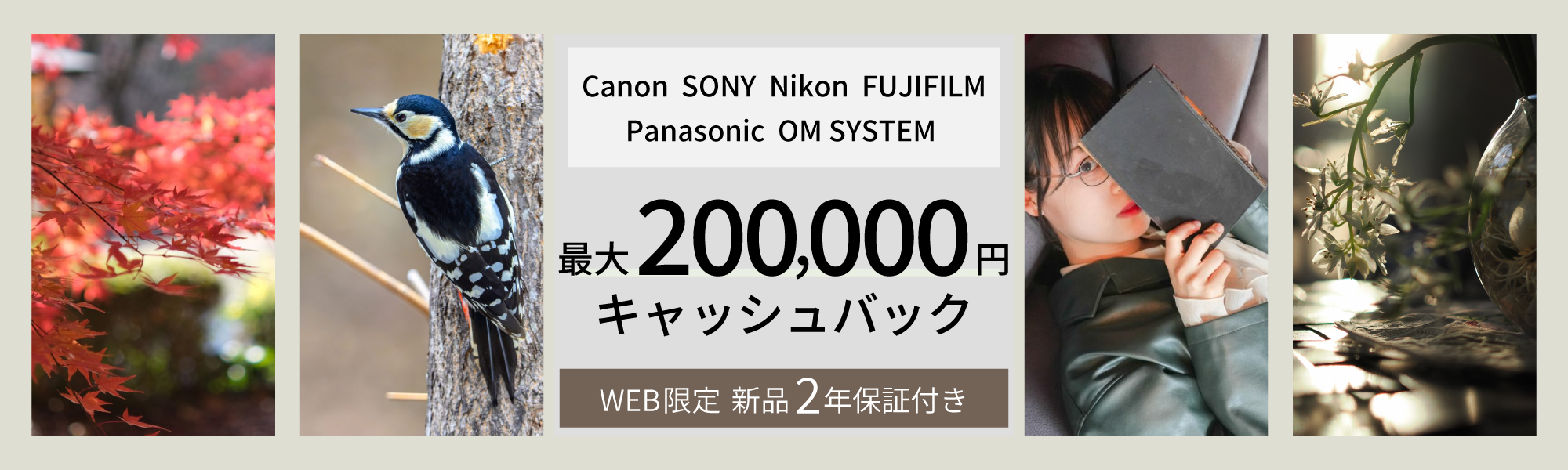 ALLキャッシュバックキャンペーン