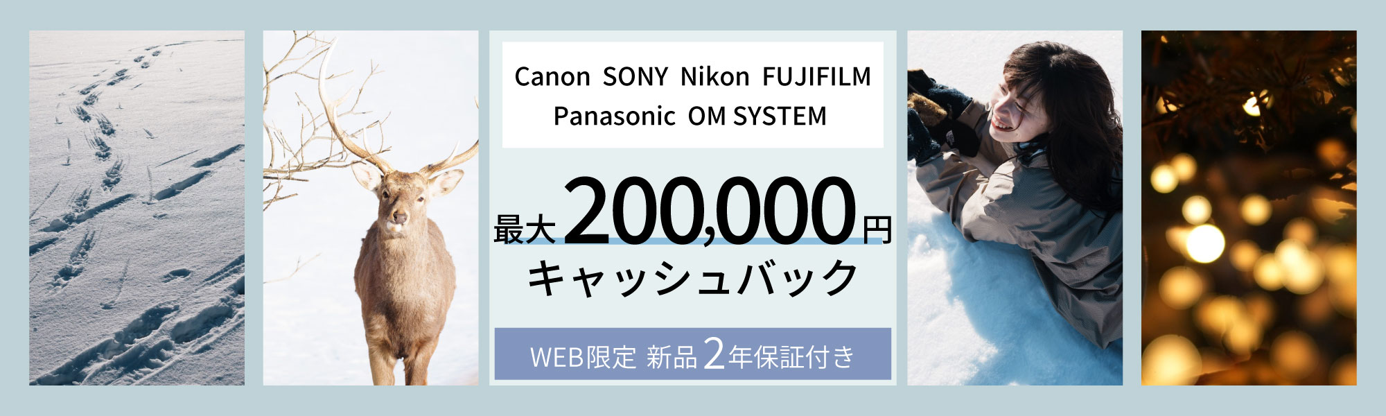 ALLキャッシュバックキャンペーン