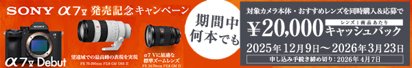 α7 V発売記念キャンペーン