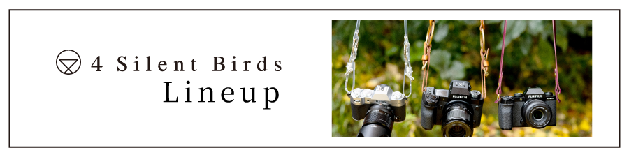 4Silent Birds