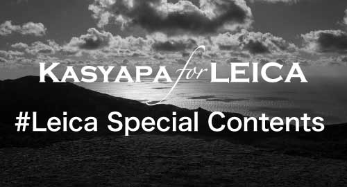 これまでのスペシャルコンテンツはこちら