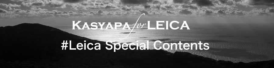 これまでのスペシャルコンテンツはこちら