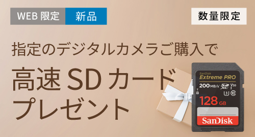 SDカードプレゼント