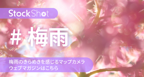 梅雨