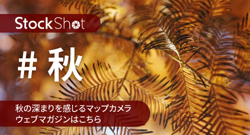 StockShot秋