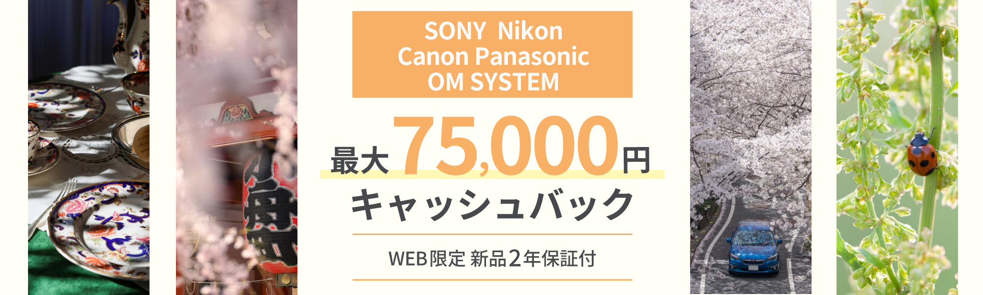 メーカーキャッシュバックキャンペーン