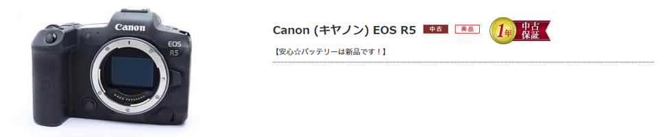 新品バッテリー付