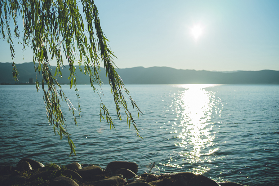 SONY (ソニー) α7II ボディ ILCE-7M2+Leica (ライカ) ズミルックス M35mm F1.4 ASPH.