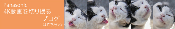 4Kphotoで切り撮る