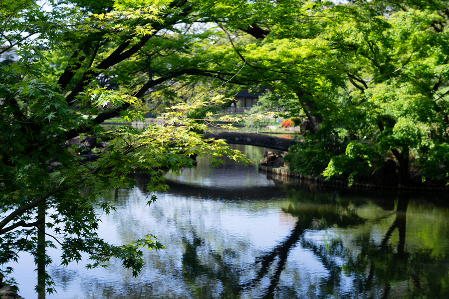 FUJICA (フジカ) フジノン 55mm F2.2 (M42)