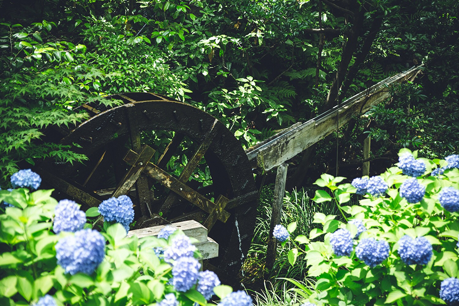 TAMRON (タムロン) SP 24-70mm F2.8 Di VC USD G2 A032E（キヤノン用）