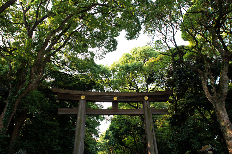 TAMRON (タムロン) SP 24-70mm F2.8 Di VC USD G2 A032E（キヤノン用）